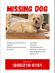 Lost Male Dog last seen Last seen 10/21/26 Off fireside and Windsor in the North lake neighborhood Denton Tx., Denton, TX 76201