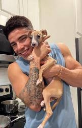 Lost Female Dog last seen South Miami, South Miami, FL 33143