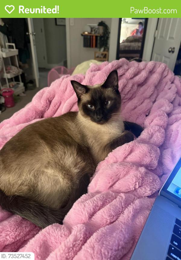 Reunited Male Cat last seen Talons Cove Golf Course, Saratoga Springs, UT 84045