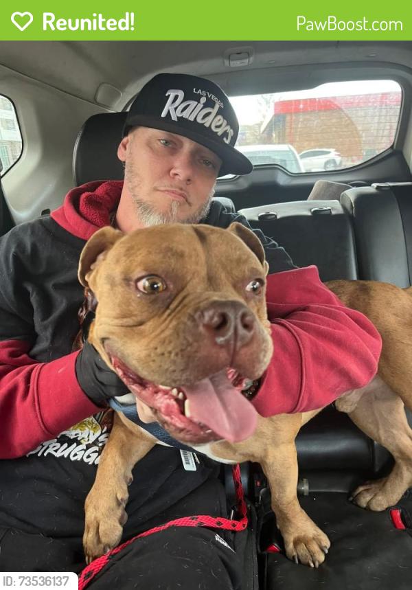 Reunited Male Dog last seen Near Syracuse &16th, Denver, CO 80220