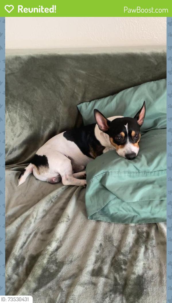 Reunited Male Dog last seen Near e Belmont ave Fresno ca, Fresno, CA 93727