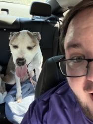 Reunited Female Dog last seen The Holt on Chisholm Trail, Fort Worth, TX 76132