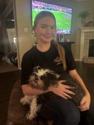 Lost Male Dog last seen Near Rose court, Fort Worth, TX 76244