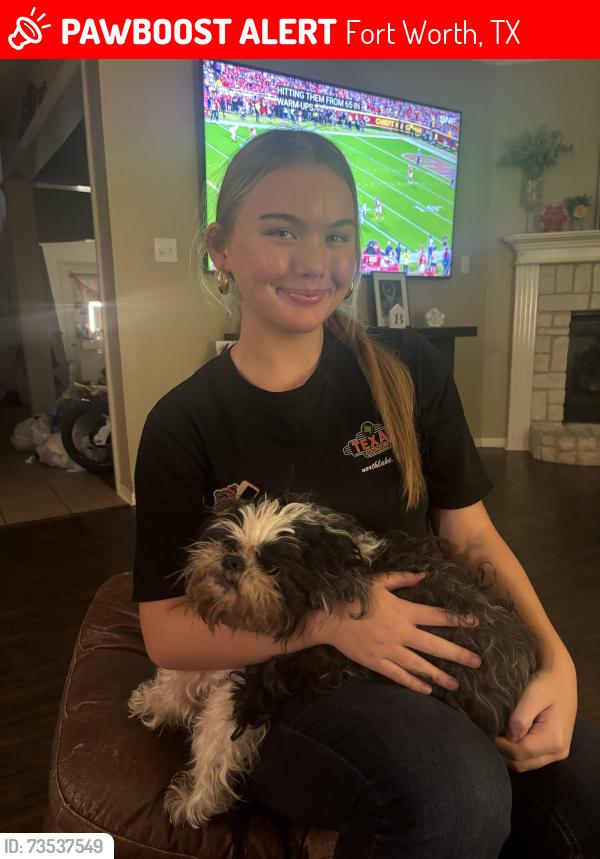 Lost Male Dog last seen Near Rose court, Fort Worth, TX 76244