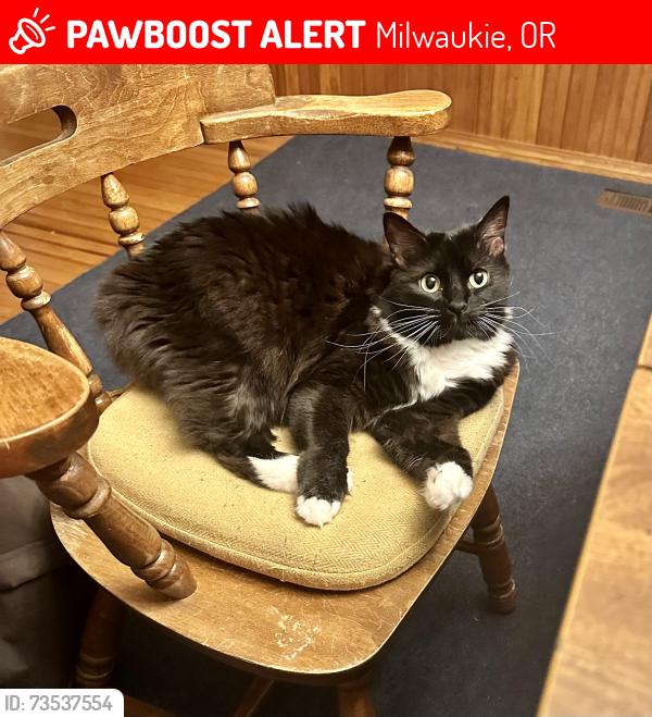 Lost Female Cat last seen Near SE Oatfield Rd., Milwaukie, OR 97222
