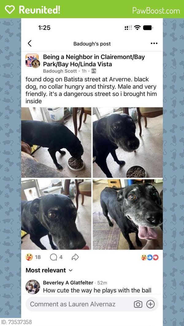 Reunited Male Dog last seen Ashford, San Diego, CA 92111