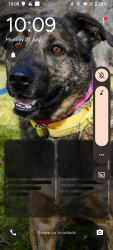 Lost Female Dog last seen Willow Street, Yakima, WA 98902