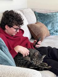 Reunited Male Cat last seen Whisker St and Berryhill Drive, London, ON N5X 4L4