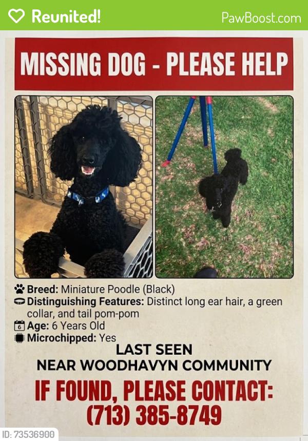 Reunited Male Dog last seen Dobbins Huffsmith, Magnolia, TX 77354