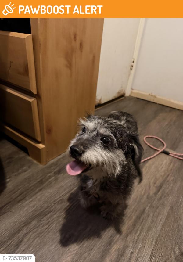 Found/Stray Unknown Dog last seen Stanton Rd, Rockdale County, GA 30094