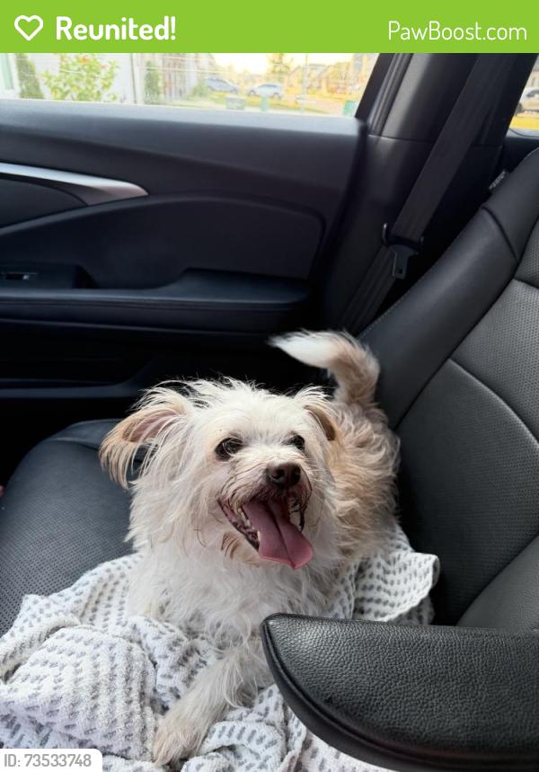 Reunited Female Dog last seen S Morgan St, Broussard, LA 70518
