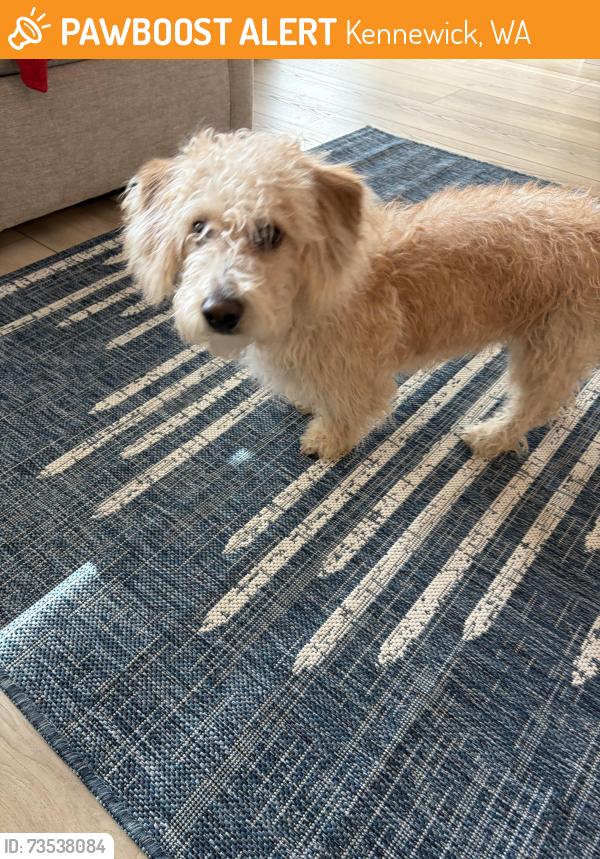 Found/Stray Male Dog last seen Near and Bob olsen, Kennewick, WA 99338