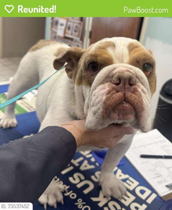 Reunited Unknown Dog last seen Spring Forest Rd and N Bend Dr, Raleigh 27615, Raleigh, NC 27609