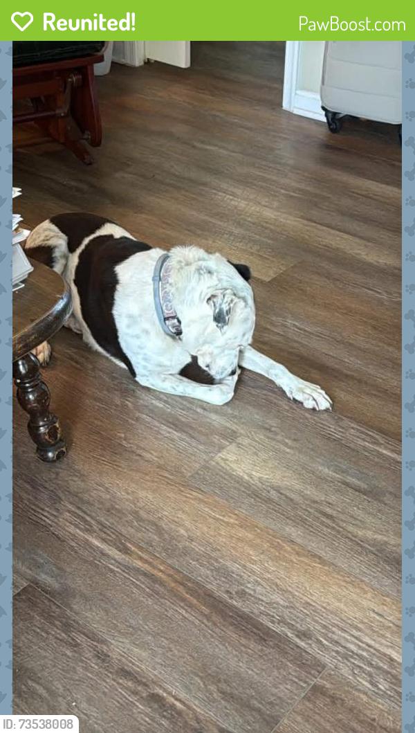 Reunited Male Dog last seen Lincoln and north fork, Purcellville, VA 20132