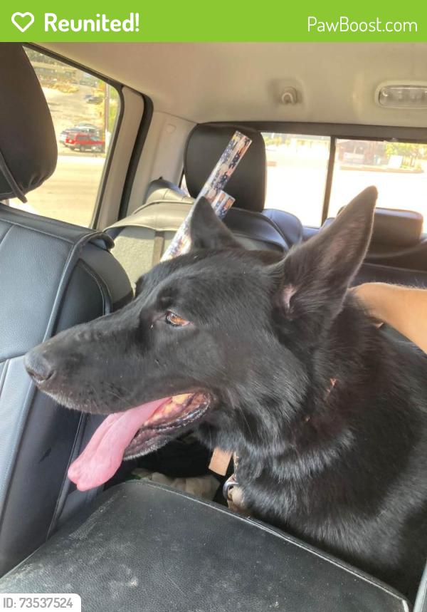 Reunited Male Dog last seen Union Bank, Fallbrook, CA 92028
