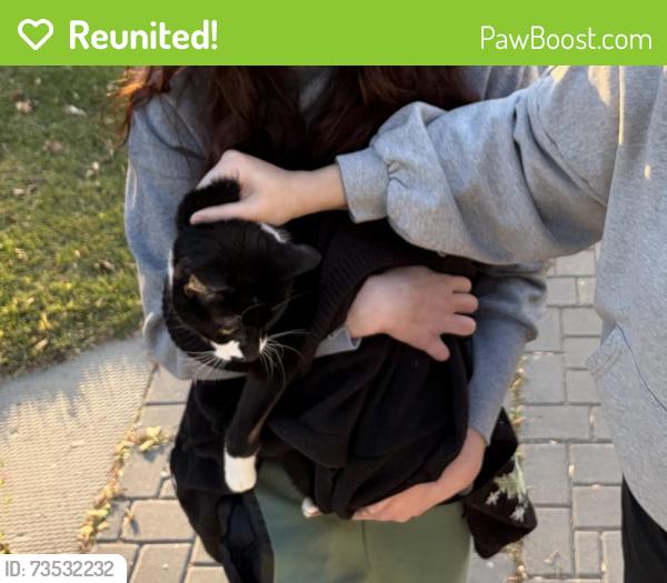 Reunited Male Cat last seen Portage and Moray, Winnipeg, MB R3J 3A9