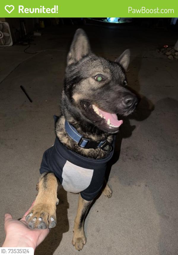 Reunited Male Dog last seen Near W Puente Ave, West Covina, CA 91790, USA, West Covina, CA 91790