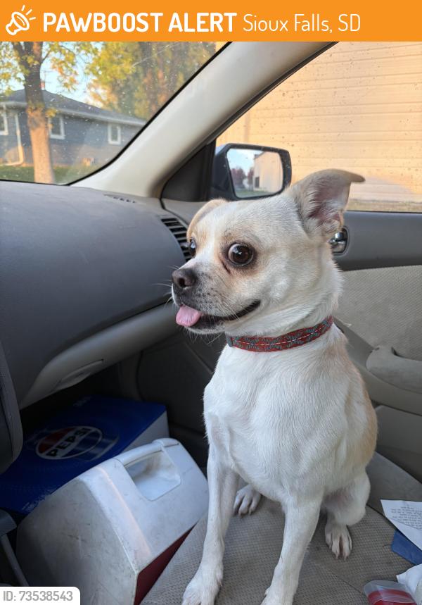 Found/Stray Unknown Dog last seen W 12th and La Mesa, Sioux Falls, SD 57107