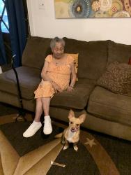 Lost Male Dog last seen Potter Ln Mesquite Tx, Mesquite, TX 75149