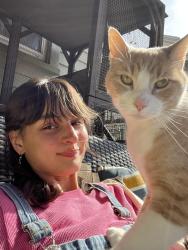 Reunited Male Cat last seen Near Albany ave Kingston ny, Kingston, NY 12401