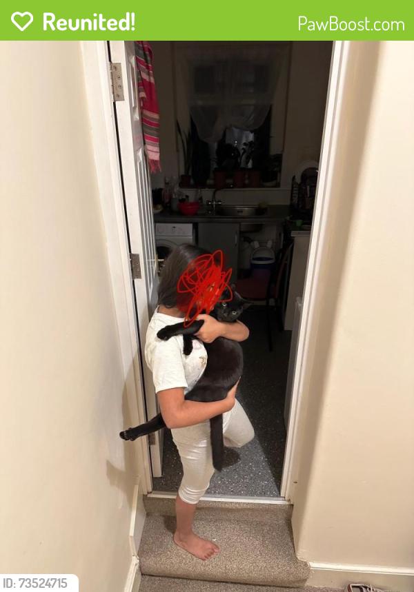 Reunited Male Cat last seen Wood near southwoodford station, London, England 