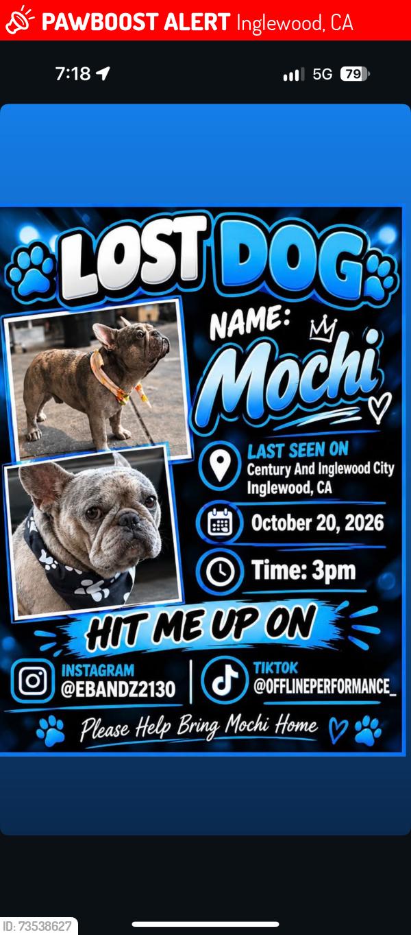 Lost Male Dog last seen By the 7/11 in Inglewood, Inglewood, CA 90304