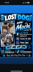 Lost Male Dog last seen By the 7/11 in Inglewood, Inglewood, CA 90304