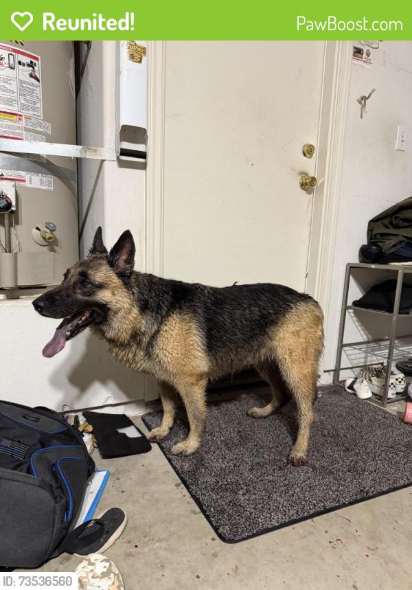 Reunited Unknown Dog last seen ashlan & temperance, Clovis, CA 93611