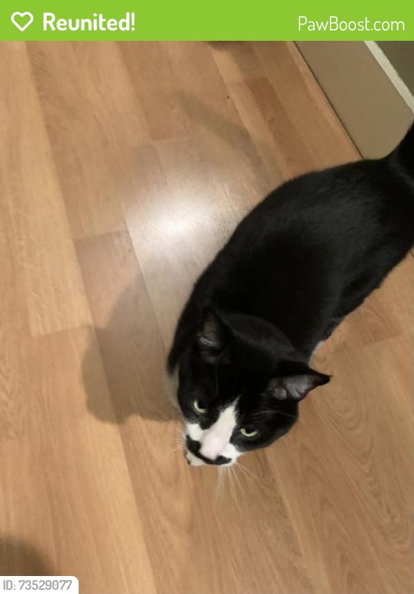 Reunited Male Cat last seen Near 9th St E, Saskatoon, SK, Saskatoon, SK S7N 0A9