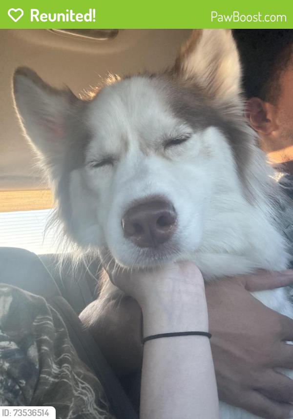Reunited Male Dog last seen S cypress st, Wichita, KS 67207