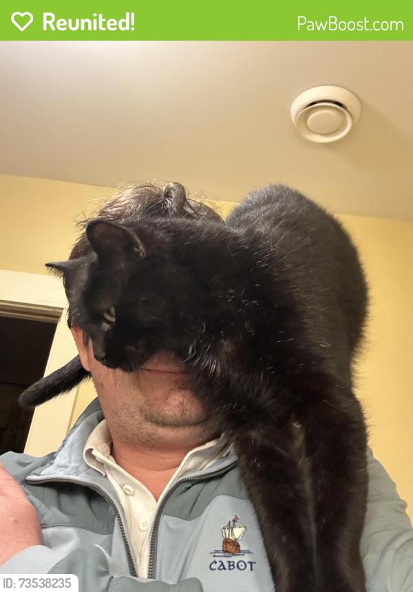 Reunited Male Cat last seen Kearney Lake Rd and Hamshaw Drive, Halifax, NS B3M 2H1