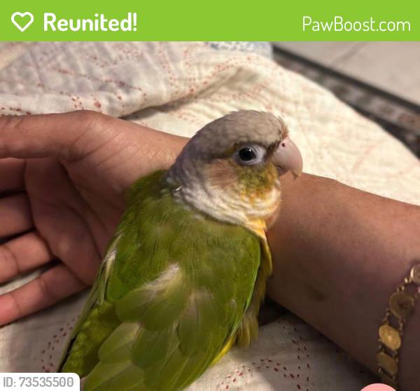 Reunited Female Bird last seen Near SW 13th St, Boynton Beach, FL 33426, USA, Boynton Beach, FL 33426