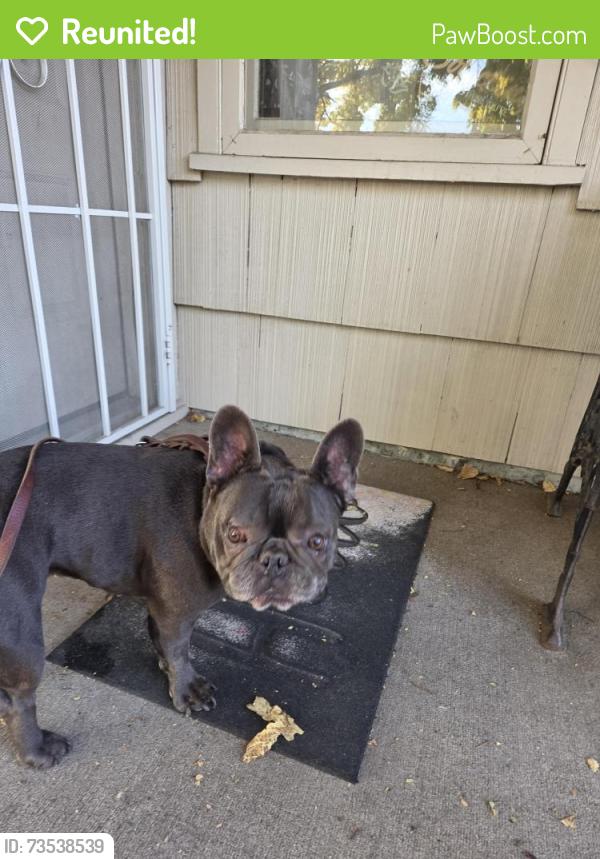 Reunited Female Dog last seen Morton, Spokane, WA 99207