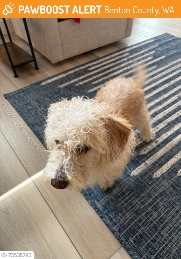 Found/Stray Male Dog last seen Bob Olson & 10th, Benton County, WA 99336