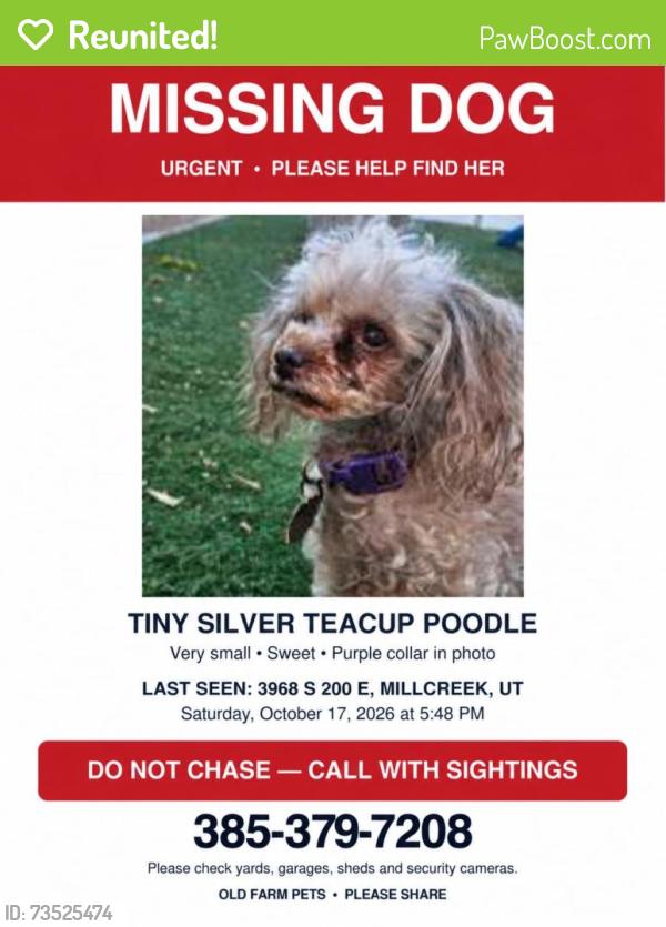 Reunited Female Dog last seen Near S 200 E, Millcreek, UT 84107
