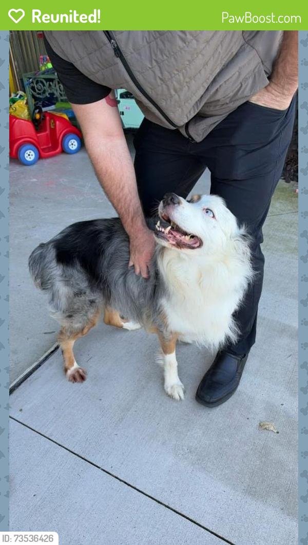 Reunited Unknown Dog last seen Harvest Home, Lowell, MI 49331