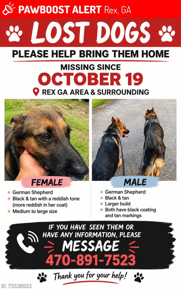 Lost Female Dog last seen Macon hwy, Rex, GA 30273
