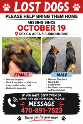 Lost Female Dog last seen Macon hwy, Rex, GA 30273