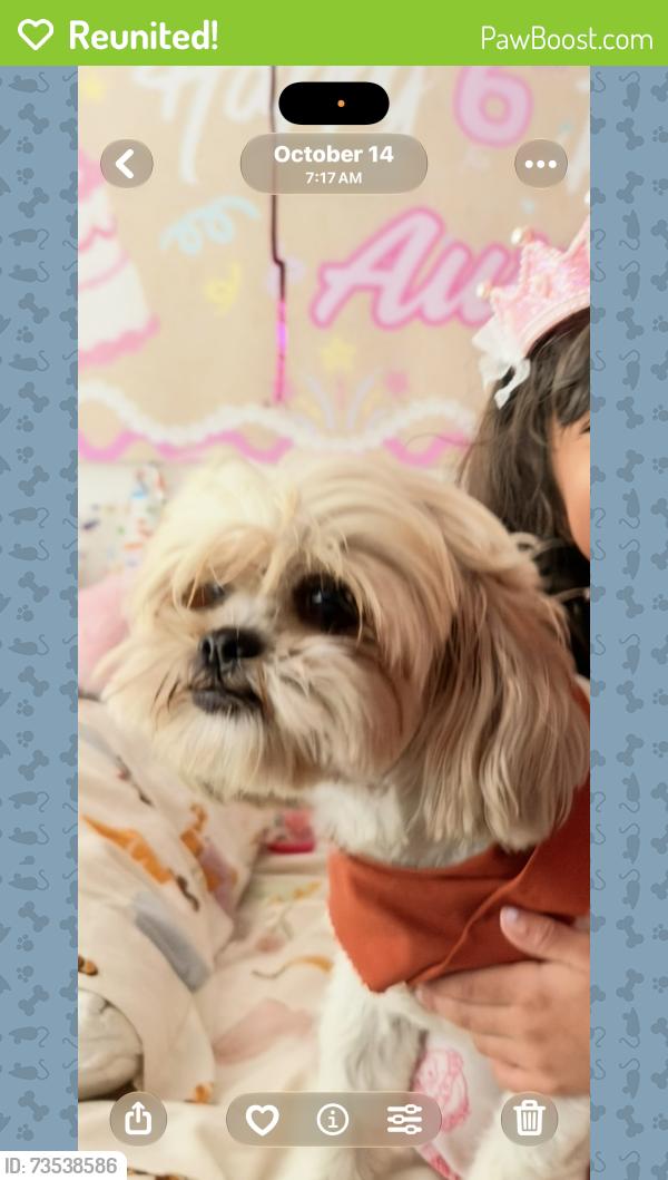 Reunited Female Dog last seen Corner of 16th st, San Diego, CA 92154