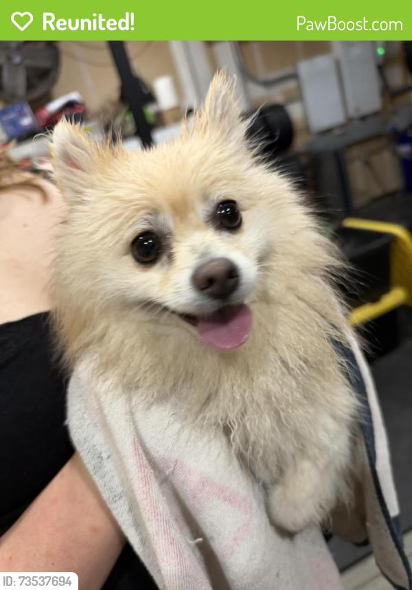Reunited Unknown Dog last seen N Mendonca, Visalia, CA 93291