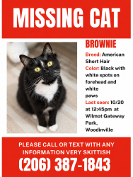 Lost Male Cat last seen Near 131st Ave NE, Wilmot gateway park Woodinville, Woodinville, WA 98072