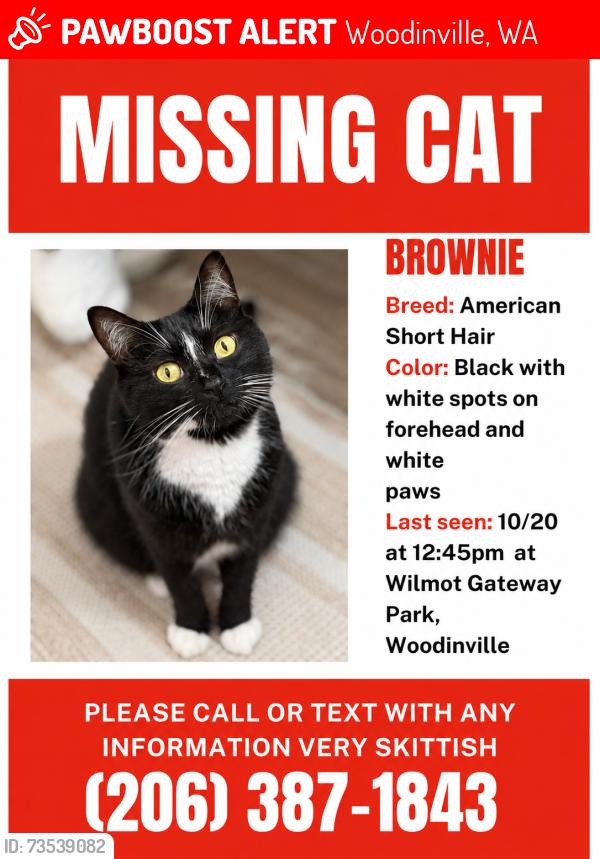 Lost Male Cat last seen Near 131st Ave NE, Wilmot gateway park Woodinville, Woodinville, WA 98072