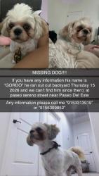 Lost Male Dog last seen Paseo sereno, El Paso, TX 79928