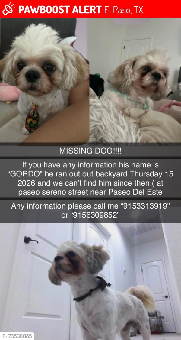 Lost Male Dog last seen Paseo sereno, El Paso, TX 79928