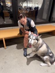 Found/Stray Male Dog last seen 4th and channel st, San Francisco, CA 94158
