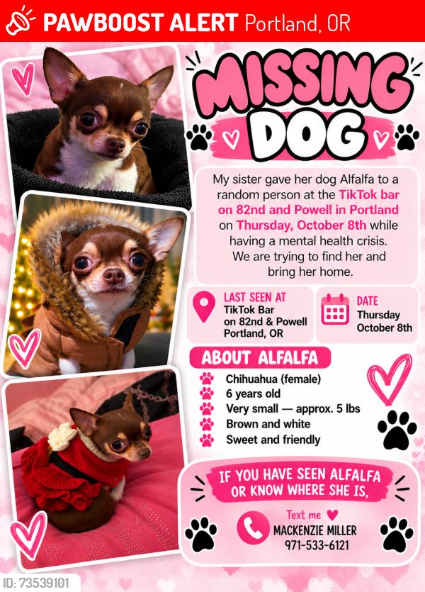 Lost Female Dog last seen Tik tok bar on powell, Portland, OR 97266