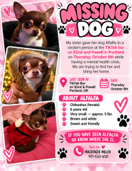 Lost Female Dog last seen Tik tok bar on powell, Portland, OR 97266