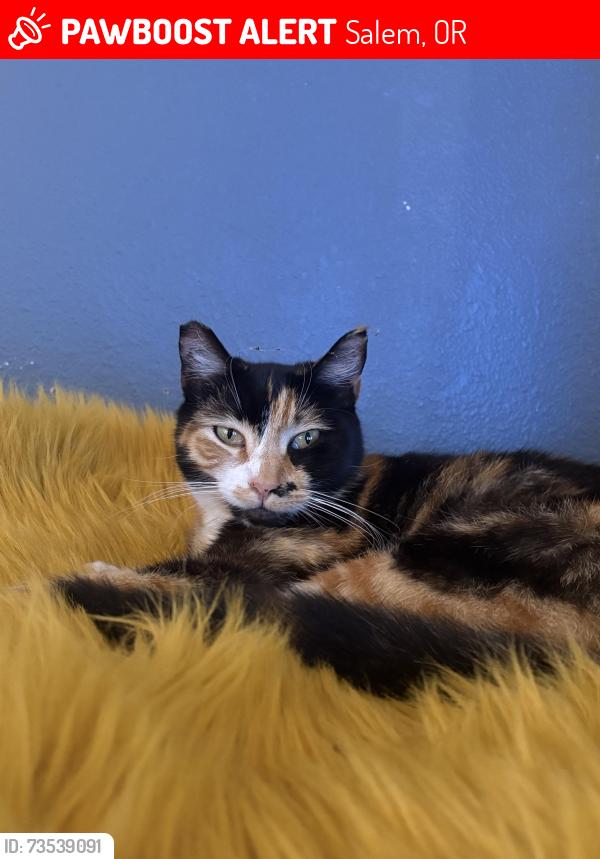 Lost Female Cat last seen Silverton, Salem, OR 97301