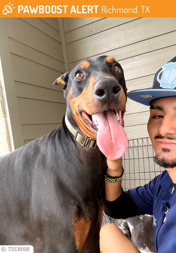Found/Stray Male Dog last seen granary flts, Richmond, TX 77406