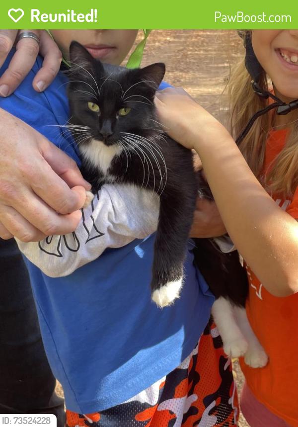 Reunited Unknown Cat last seen Luce Line trail between Bederwood park and McCauley, Luce Line State Trail, MN 55388